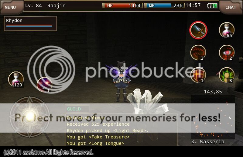 Tamed pet guide! Unofficial Iruna & Toram Online Forum